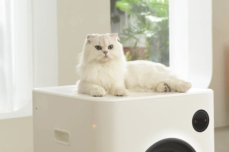 automatic kitty litter
