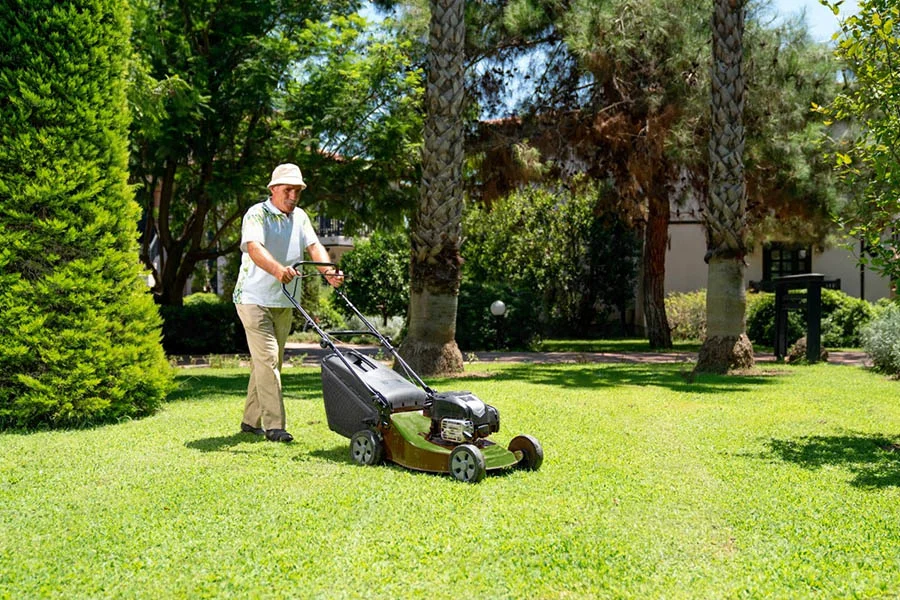 small battery powered lawn mower